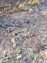 Water flowing from the depths of the earth on the river bank