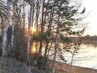 spring river in the evening at sunset