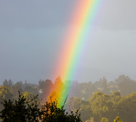 Closeup rainbow