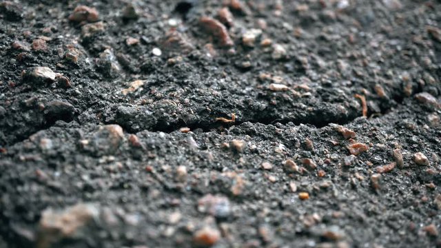 4k Macro Crack In The Asphalt