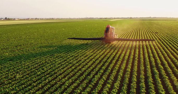 Aerial drone shot of a farmer spraying soybean fields