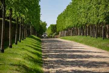 Barockschloss Schloss Lichtenwalde Sachsen