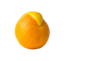 Grapefruit with mutated skinisolated on white background.