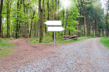 Rechts oder Links? Weggabelung im Wald mit Schild für Beschriftung.
