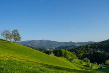 Germany, Beautiful holiday nature landscape region of black forest with mountains