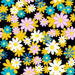 colorful chamomile flowers33