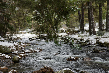 Hoyos del Espino, Spagna