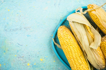 Whole corn cob on vibrant table,copy space
