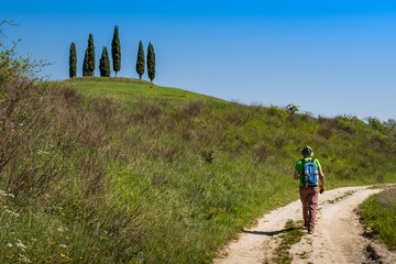 Obraz premium ASCIANO, TUSCANY, Italy - Unknown people walking along the famous white roads