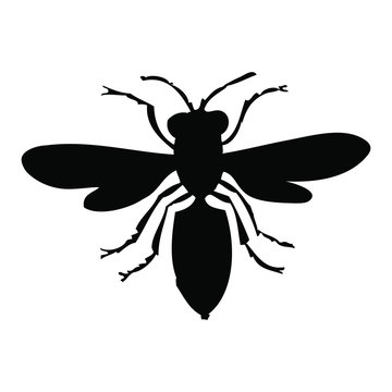recommend clip art: Hornet - Bee silhouette