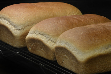 Fresh Baked Homemade Bread Cooking Off on Racks