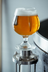 Snifter beer glass at the brewery