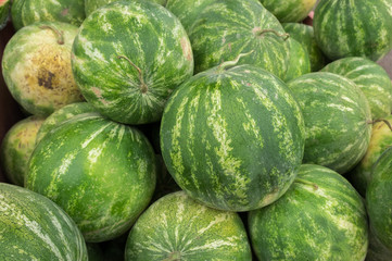 The new harvest watermelons sold at local farm market