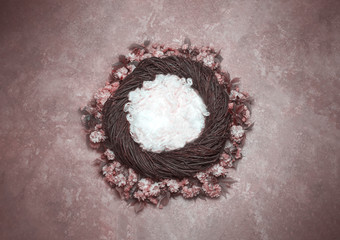Bird Nest Fantasy Background Photo Prop with vine and flowers Isolated on pink rose color. Newborn photography digital background prop