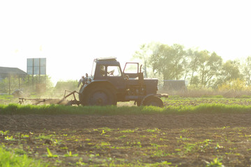 Fototapeta premium Agriculture. Tractor plowing field in sunset. Cultivated field. Agronomy, farming, husbandry concept.