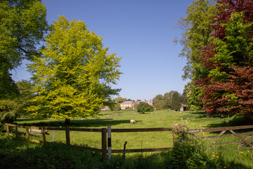 Fototapeta na wymiar Country manor, countryside
