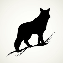 Wolf. Vector drawing