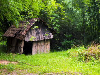 Small hut in the rain forest.