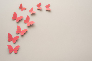 Fondo gris con mariposas rosas de papel en el lateral izquierdo.	