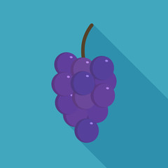 Bunches of purple grapes icon in flat long shadow design