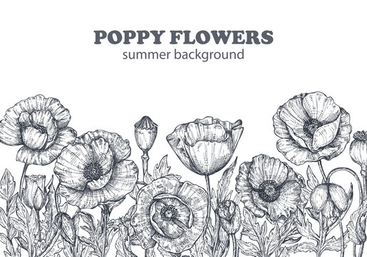 Floral backgrounds with hand drawn poppy flowers and leaves.