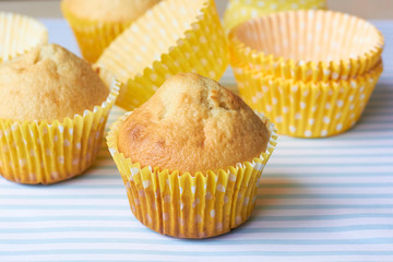  Muffins on a blue background.
