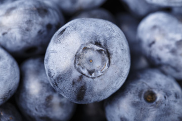 whortleberry close up