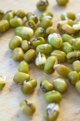 Mung beans germination close up, small green legume sprouts on wooden cutting board, healthy vegan food