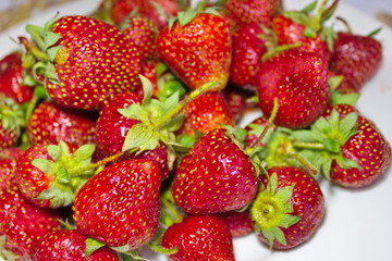 Juicy strawberries, spring strawberries, strawberry giant