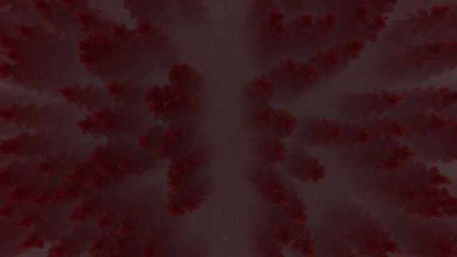 red forest in the fog, camera flying over