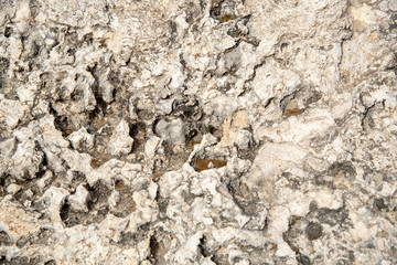 White abstract grungy  background from a rocky surface