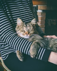 cat bonding with his woman, sitting in her lap next to chimney on wooden chair and petting © Ondrej Hlavin