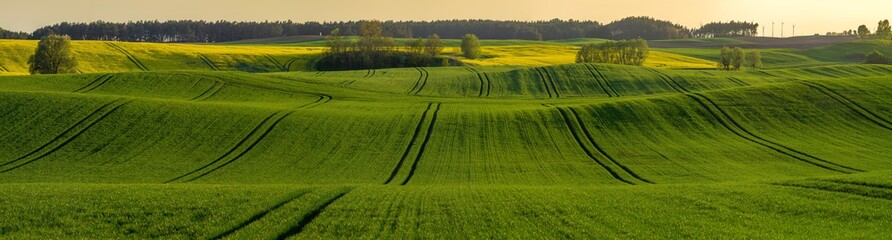 green, spring fields on rolling hills in germany in the light of the setting sun - high resolution panorama