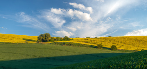 green, spring fields on rolling hills in germany in the light of the setting sun - high resolution...