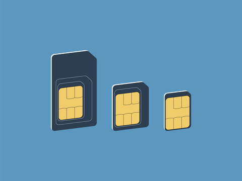 Different Sim Card Types. Isometric Illustration. Vector