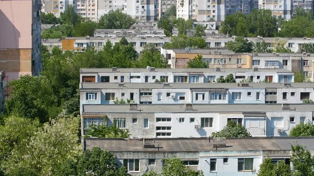 City Blocks With Trees Nearby