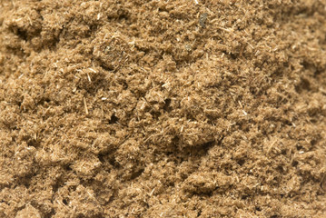 A Background of Ground Cumin