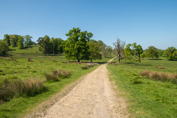 Fototapeta na wymiar English Countryside in the summer in the UK