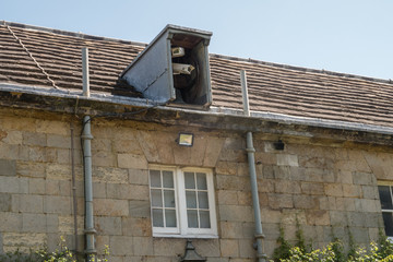 Look who's watching you