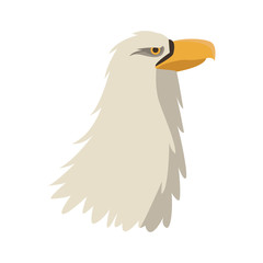 Eagle head cartoon vector illustration graphic design