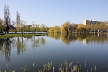 Trees reflect on the lake waters  - spring time