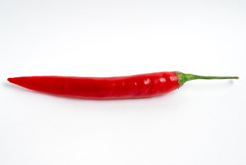 Chili pepper isolated on white background