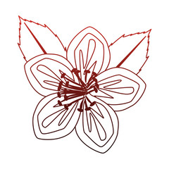 Beautiful flower symbol vector illustration graphic design