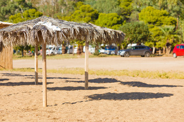 Sun parasols umbrellas on beach