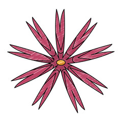 Beautiful flower symbol vector illustration graphic design