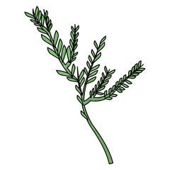 Bouquet of leaves vector illustration graphic design