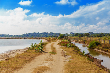 dirt road in national park, Gravel country route