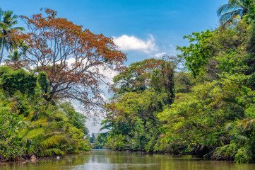 Dutch canal in Negombo.