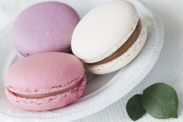 Pink, white and violet Macaroons close-up in white plate, spring green petals, tender pastel background. Soft focus. Romantic morning, gift for beloved