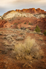 Rock Formations in the Capitol Reef National Park. Rich red sandstone formations are the star in this area of the Capitol Reef National Park. Sagebrush dots the landscape in this desert environment.